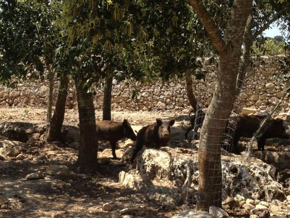 Masseria Autigne Otranto Ngoại thất bức ảnh