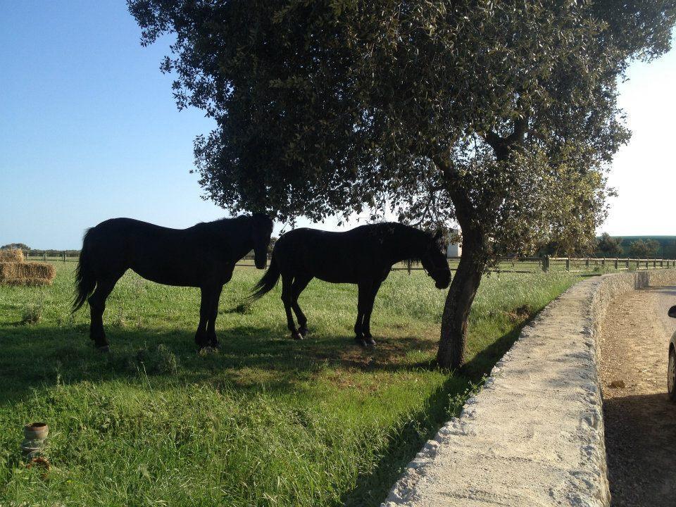 Masseria Autigne Otranto Ngoại thất bức ảnh
